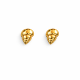 Golden Seashell Stud Earrings